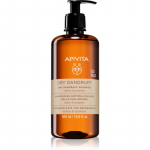 Apivita Dandruff Dry Dandruff Shampoo K&otilde;&otilde;mavastane &scaron;ampoon 500 ml