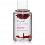 Briogeo Don't Despair, Repair! Juukse&otilde;li 30 ml