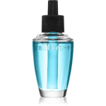 Bath & Body Works Eucallyptus Rain Wall Flower Bulb t&auml;ide aroomihajutitele 24 ml