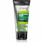 Dr. Sant&eacute; Cannabis Taastav palsam kahjustatud juustele 200 ml