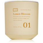 DW Home Lab Lemon Blossom l&otilde;hnak&uuml;&uuml;nal 411 g