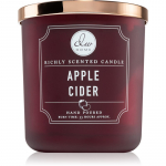 DW Home Signature Apple Cider l&otilde;hnak&uuml;&uuml;nal 269 g