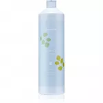 Echosline Balance Shampoo Puhastav &scaron;ampoon k&otilde;&otilde;ma vastu 1000 ml