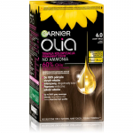 Garnier Olia Big Kit P&uuml;sijuuksev&auml;rv varjund 6.0 Light brown 1 tk