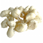 Jungle Way Oman Hojari White Royal viiruk 20 g
