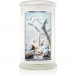 Kringle Candle Coral l&otilde;hnak&uuml;&uuml;nal 624 g