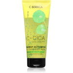 Natura Siberica C-Berrica Energy Activator Du&scaron;igeel 200 ml