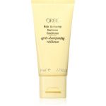 Oribe Hair Alchemy Resilience Conditioner Taastav palsam habrastele ja tuhmidele juustele 50 ml