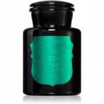 Paddywax Apothecary Noir Tabac & Pine l&otilde;hnak&uuml;&uuml;nal 226 g