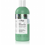 so!flow Oily Scalp Moisturizing and Regulating Shampoo Niisutav &scaron;ampoon rasusele peanahale 400 ml