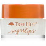 Tree Hut Sugar Lips Huulte koorimine 9.8 g