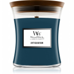 Woodwick Antiquarium l&otilde;hnak&uuml;&uuml;nal 275 g