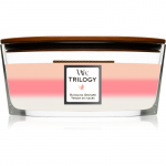 Woodwick Trilogy Blooming Orchard l&otilde;hnak&uuml;&uuml;nal 453.6 g