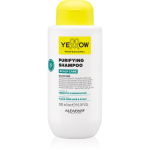 Yellow Professional Scalp Care Purifying Shampoo Puhastav &scaron;ampoon k&otilde;&otilde;ma vastu 500 ml