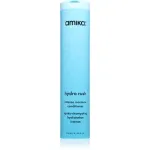 amika Hydro Rush Intense Moisture Conditioner Niisutav palsam kuivadele juustele 257 ml