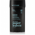Attitude Super Leaves Men Deodorant Deodorant  Mle Eucalyptus & Sage 75 g