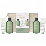 Baylis & Harding Wellness. Energise Kinkekomplekt kehale Ginger, Lime & Basil Leaf