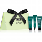 Beauty Discovery Bag Exclusive Notino &times; Aveda Kinkekomplekt  Wle