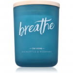 DW Home Zen Breathe l&otilde;hnak&uuml;&uuml;nal 425 g
