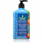HEMPZ Triple Moisture Niisutav palsam juustele 500 ml