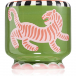 Paddywax A Dopo Tiger l&otilde;hnak&uuml;&uuml;nal 226 g