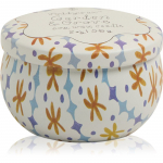 Paddywax Tulip Garden & Grove l&otilde;hnak&uuml;&uuml;nal kaanega 56 g