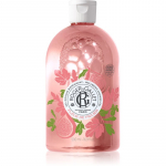 Roger & Gallet Fleur de Figuier L&otilde;hnastatud du&scaron;igeel 500 ml