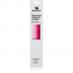 Stanley The Quencher Tumbler Straws varuk&otilde;rred 890 ml Pink 4 tk