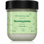 Tropicandle Green Tea l&otilde;hnak&uuml;&uuml;nal 170 ml