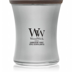 Woodwick Precious Metals Candescent Coast l&otilde;hnak&uuml;&uuml;nal 275 g