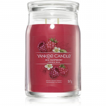 Yankee Candle Red Raspberry l&otilde;hnak&uuml;&uuml;nal Signature 567 g