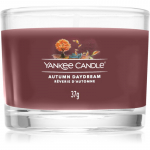 Yankee Candle Autumn Daydream l&otilde;hnak&uuml;&uuml;nal 37 g