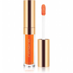 Catrice SEEKING FLOWERS Niisutav huulepulk varjund C01 So Apricot! 2.5 ml