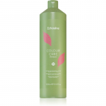 Echosline Colour Care Shampoo Kaitsev &scaron;ampoon v&auml;rvitud juustele 1000 ml