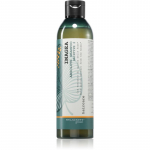 Elgon Green Imagea Absolute Shampoo L&auml;iget andev ja pruune toone toetav &scaron;ampoon v&auml;rvitud juustele 250 ml