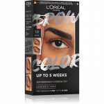 L&rsquo;Or&eacute;al Paris Brow Color Kulmuv&auml;rv varjund 1.0 Black 1 tk