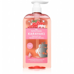 PAPOUTSANIS Karavaki Nutrition & Hydration Toitev &scaron;ampoon 600 ml