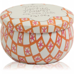 Paddywax Tulip Cactus Flower l&otilde;hnak&uuml;&uuml;nal kaanega 56 g