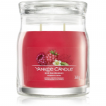 Yankee Candle Red Raspberry l&otilde;hnak&uuml;&uuml;nal Signature 368 g