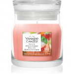 Yankee Candle White Strawberry Bellini l&otilde;hnak&uuml;&uuml;nal Signature 110 g