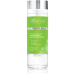 Bielenda Professional Supremelab Sebio Derm N&auml;ovesi rasusele ja kombineeritud nahale Antibacterial Complex 200 ml