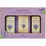 Bohemia Gifts Lavender Kinkekomplekt du&scaron;i jaoks