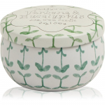 Paddywax Tulip Verbena & Lemongrass l&otilde;hnak&uuml;&uuml;nal kaanega 56 g