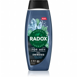 Radox Feel Energised Du&scaron;igeel  Mle kaks-&uuml;hes 450 ml