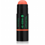 Rimmel Full Volume Cheek & Lip Stick P&otilde;sepunapulk varjund 210 Peachy Rythm 6 g