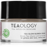 Teaology Tea Glow Blemish Cream Niisutav kreem nahadefektide hoolduseks 50 ml