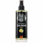 The Shave Factory Lemon Raseerimisj&auml;rgne vesi 250 ml