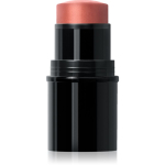 Dr. Hauschka Make-Up Lip to Cheek Mitmeotstarbeline huulte- ja n&auml;omeik varjund 01 apricot 6.1 g
