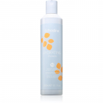 Echosline Hydrating Shampoo Niisutav &scaron;ampoon kuivadele ja t&otilde;rksatele juustele 300 ml