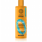 Natura Siberica Oblepikha Siberica Grow Tugevdav palsam juuksekasvu stimuleerimine 400 ml
